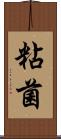 粘菌 Scroll
