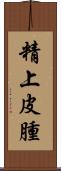 精上皮腫 Scroll