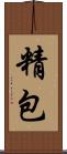 精包 Scroll