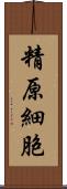 精原細胞 Scroll