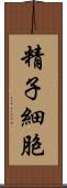 精子細胞 Scroll