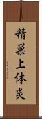精巣上体炎 Scroll