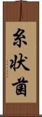 糸状菌 Scroll