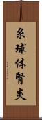 糸球体腎炎 Scroll