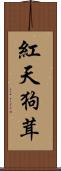 紅天狗茸 Scroll
