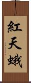 紅天蛾 Scroll