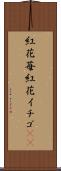 紅花苺 Scroll