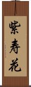 紫寿花 Scroll