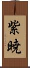 紫暁 Scroll
