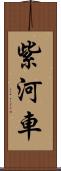 紫河車 Scroll