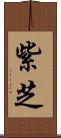 紫芝 Scroll