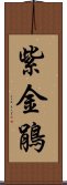 紫金鵑 Scroll