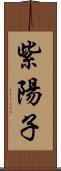 紫陽子 Scroll