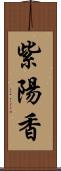 紫陽香 Scroll