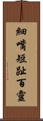 細嘴短趾百靈 Scroll