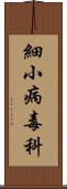 細小病毒科 Scroll