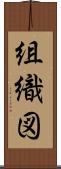 組織図 Scroll