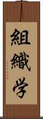 組織学 Scroll