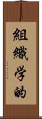 組織学的 Scroll