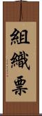 組織票 Scroll