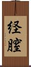 経膣 Scroll