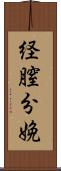 経膣分娩 Scroll