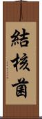 結核菌 Scroll