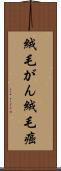 絨毛がん Scroll