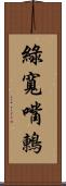 綠寬嘴鶇 Scroll