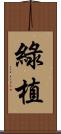 綠植 Scroll