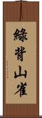 綠背山雀 Scroll