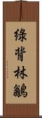 綠背林鶲 Scroll