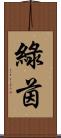 綠茵 Scroll
