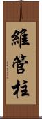 維管柱 Scroll