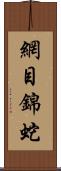 網目錦蛇 Scroll