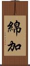 綿加 Scroll