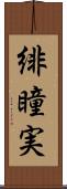 緋瞳実 Scroll
