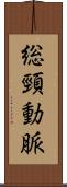 総頸動脈 Scroll