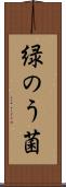 緑のう菌 Scroll