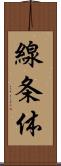 線条体 Scroll