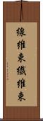 線維束 Scroll