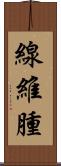 線維腫 Scroll