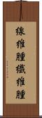 線維腫 Scroll