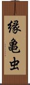 縁亀虫 Scroll