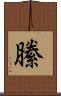 縢 Scroll