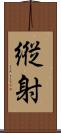 縦射 Scroll