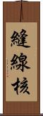 縫線核 Scroll