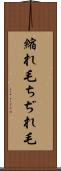 縮れ毛 Scroll