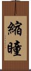 縮瞳 Scroll