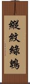 縱紋綠鵯 Scroll